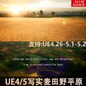 UE4UE5真实数据写实平原田野麦田大地形England Fields Reala