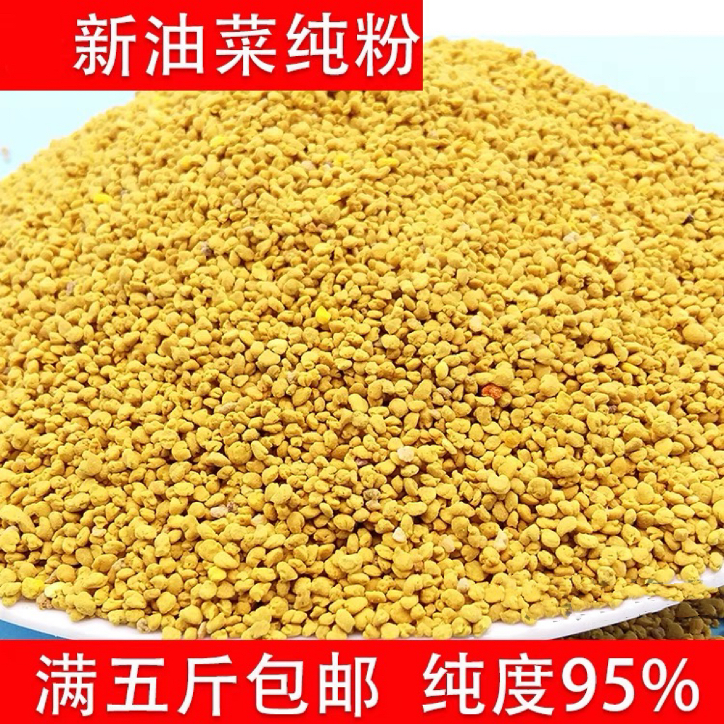 2024新鲜油菜纯花粉纯油菜粉花粉油菜花粉花粉油菜粉食用颗粒