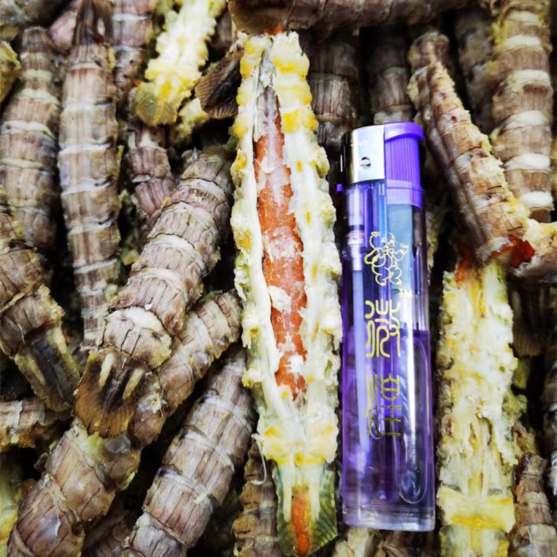 2025大号红膏皮皮虾干缔海