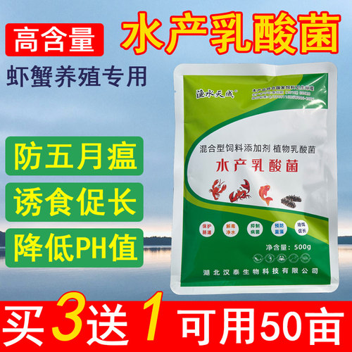 乳酸菌水产养殖专用扩培发酵调水降ph值小龙虾塘培菌调节肠道菌种