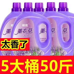 50斤薰衣草洗衣液持久留香整箱批家用实惠装男士香正品官方旗舰店