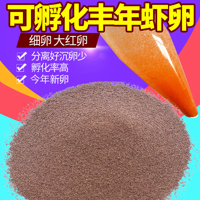 西藏新卵大红孵化丰年鱼苗