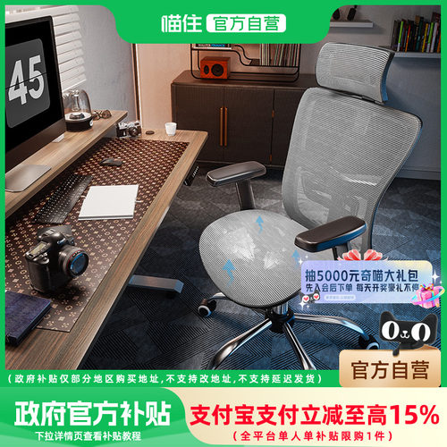 后仰可锁 升降扶手头枕腰枕 坐垫靠背可乳胶