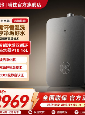 小米米家燃气热水器16L P10净垢双循环恒温静音家用厨房速热洗澡