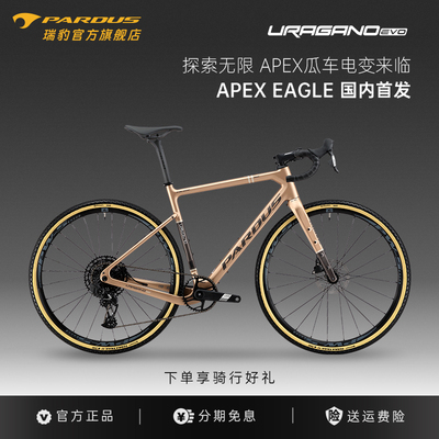 瑞豹gravel砾石公路车12速电变