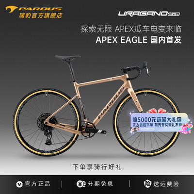 瑞豹gravel砾石公路车12速电变