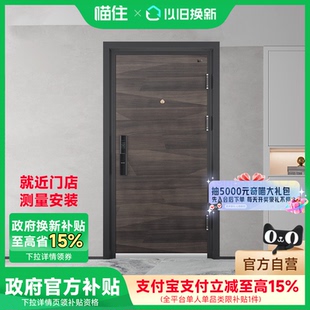 盼盼防盗门DS11甲级防盗门家用子母门别墅大门指纹锁进户门安全门