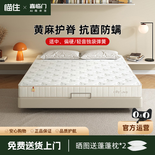 城市爱情偏软弹簧防霉床垫