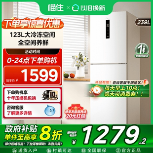 251白色三开门家用小户型超薄电冰箱一级能效风冷无霜出租房 美