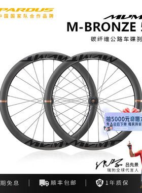 PARDUS瑞豹MVMT碳纤维轮组公路自行车公路车碟刹中锁筒轴