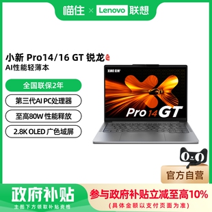 锐龙标压14 2025 16英寸游戏轻薄笔记本电脑学习办公游戏设计护眼屏 Pro16 联想小新Pro14