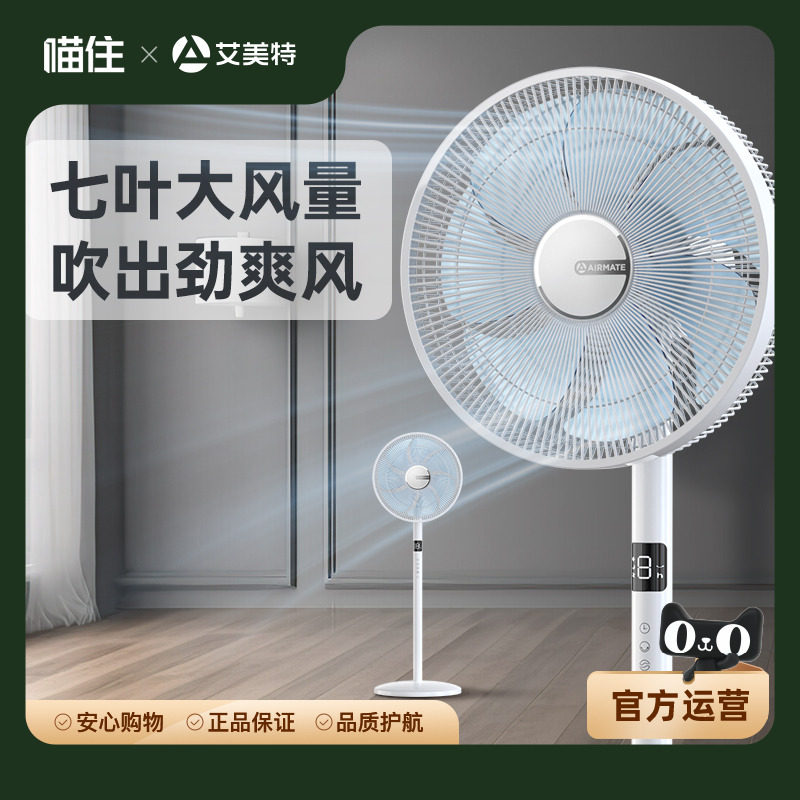 艾美特电风扇轻音家用电扇大风力台式风扇遥控落地扇R63