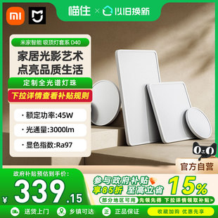 小米米家吸顶灯D40卧室客厅主灯具现代简约大气阳台儿童房间灯具