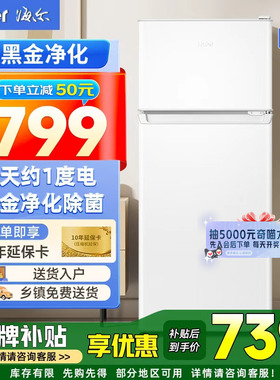 2025新款小冰箱海尔118L宿舍出租房小户型两门迷你办公室冷藏冷冻
