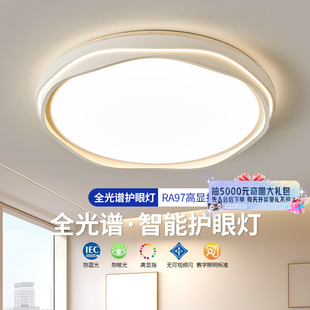 主卧室灯年轻人轻奢高级感led房间吸顶灯2024年新款 简约现代18