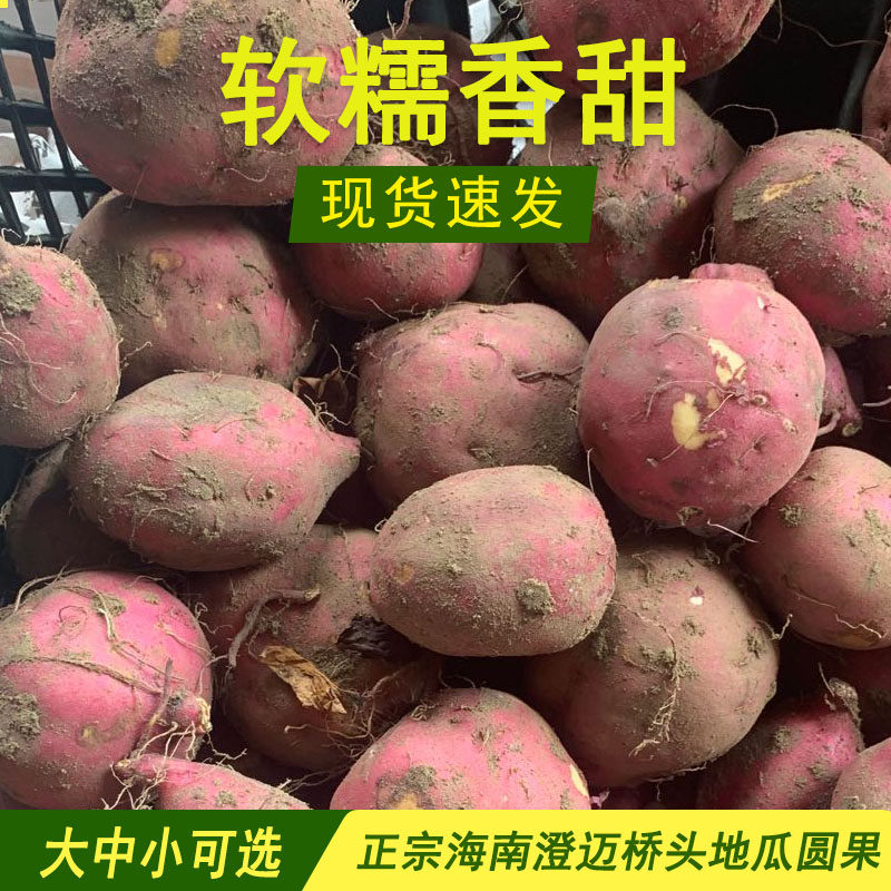 海南澄迈桥头地瓜粉糯新鲜圆果图片