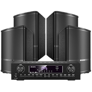 索爱家庭KTV音响套装卡拉ok机全套家庭影院K歌点歌机10寸音箱设备