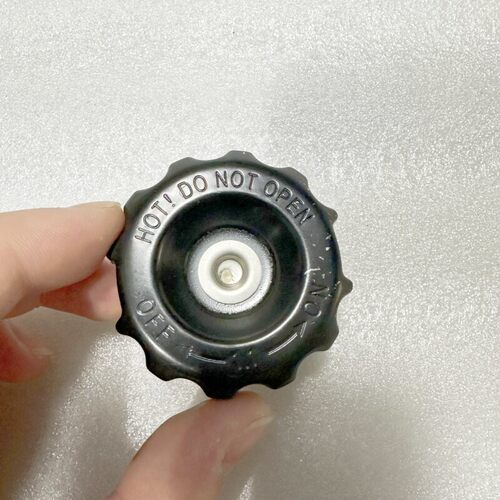QJMOTOR原厂配件钱江 赛150 QJ150GS-29F 加水口盖冷却水箱盖