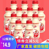 Special impression stomach power original strawberry flavor lactobacillus beverage breakfast milk yoghurt beverage 12 bottles in a box