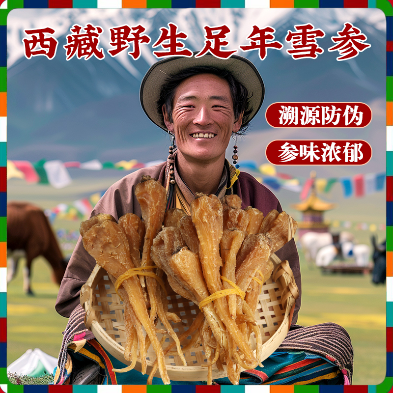 西藏野生藏雪參特產(chǎn)血參玉人參紅毛陽參500g中藥材整顆煲湯膏