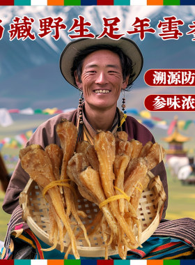 西藏野生藏雪参特产血参玉人参红毛阳参500g中药材整颗煲汤膏