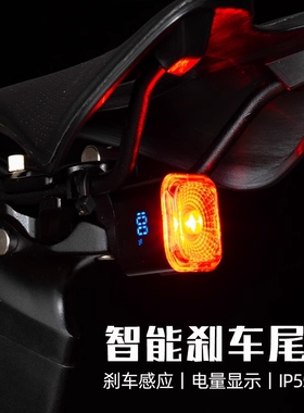 适用捷安特avail3speeder/light2dd/fleetsl尾灯智能感应灯高亮