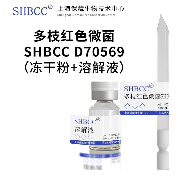 多枝红色微菌海水2216琼脂SHMCC