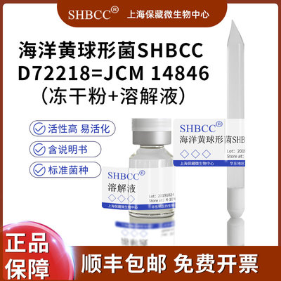 SHBCC海洋黄球形菌冻干粉现货