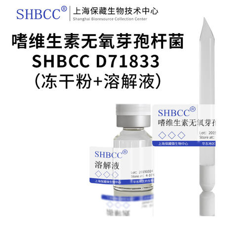 SHBCC嗜维生素无氧芽孢杆菌现货