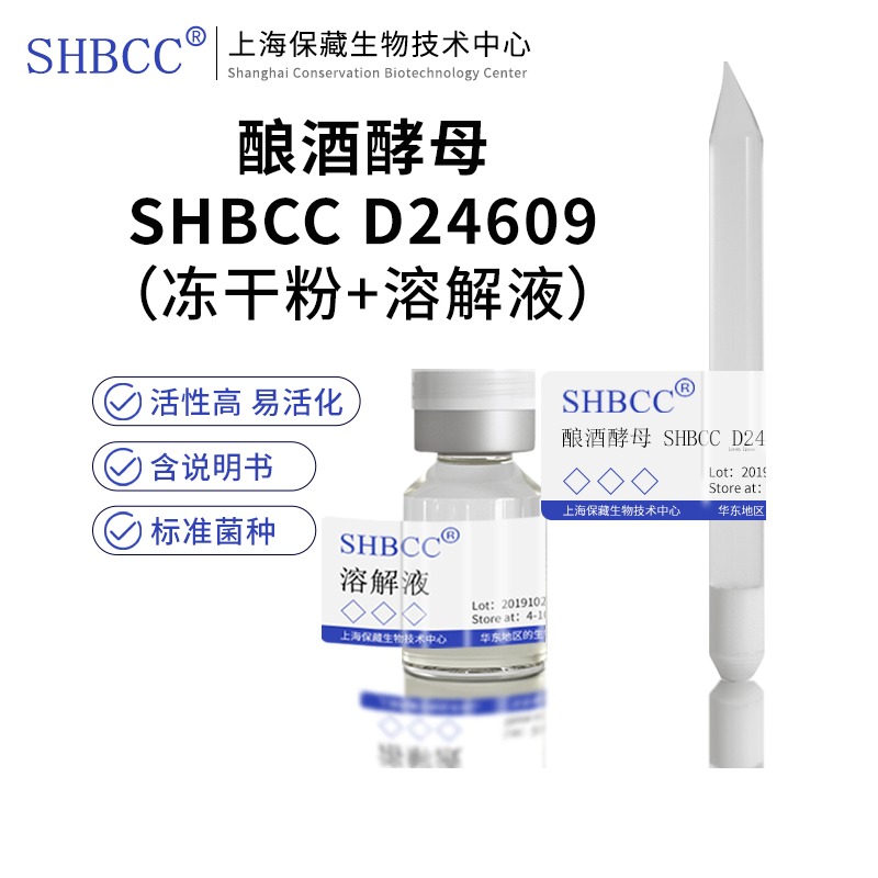 酿酒酵母SHBCCD24609冻干粉