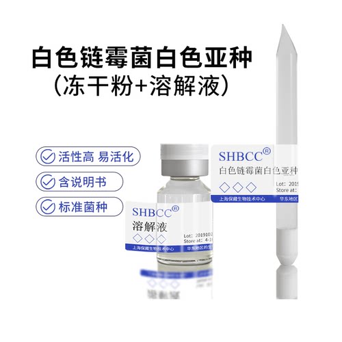 白色链霉菌白色亚种冻干粉SHBCC