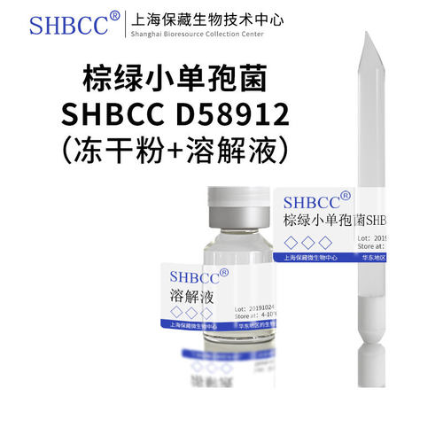 棕绿小单孢菌高氏合成一号琼脂
