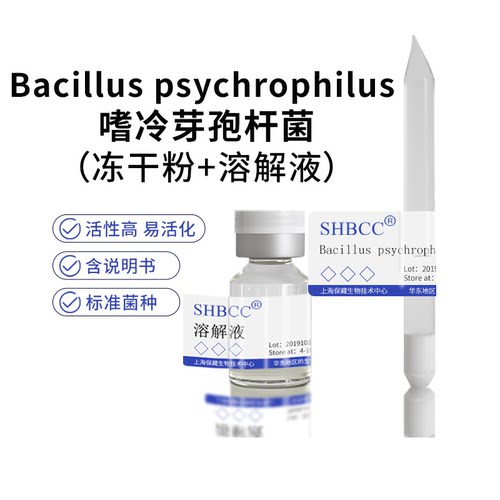 Bacilluspsychrophilus冻干粉