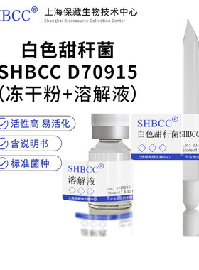 白色甜秆菌LMG 27741模式菌株LB培养基30℃培养