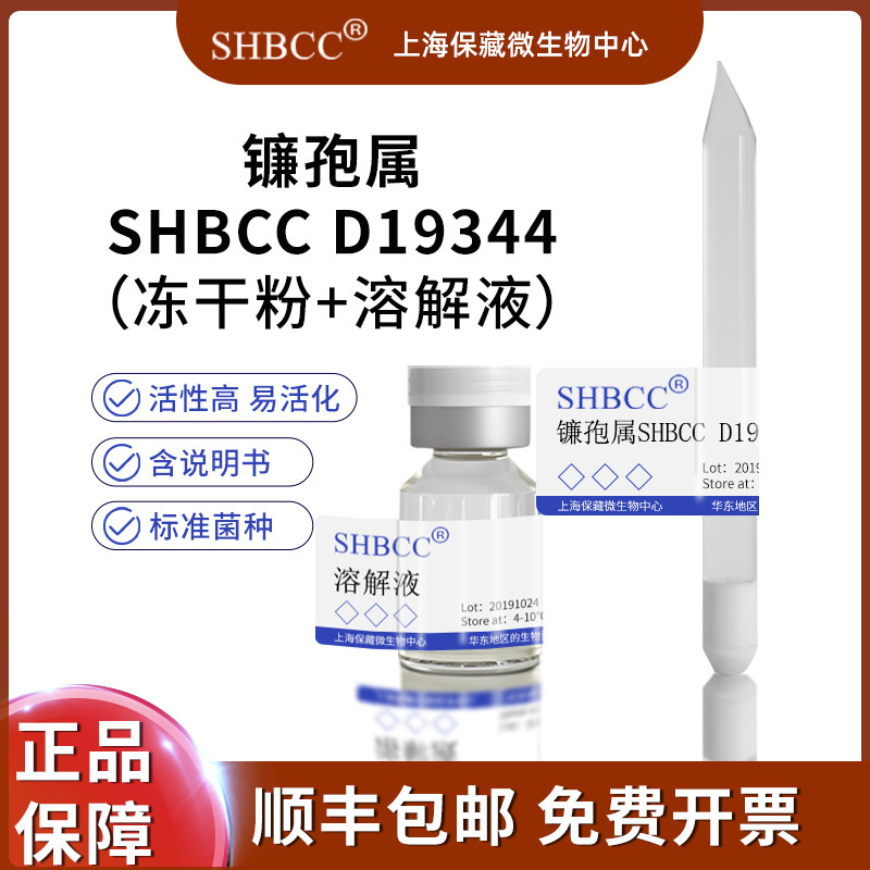 镰孢属shbcc d19344