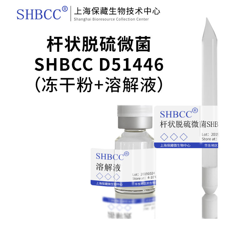 杆状脱硫微菌DESULFOVIBRIOMEDI