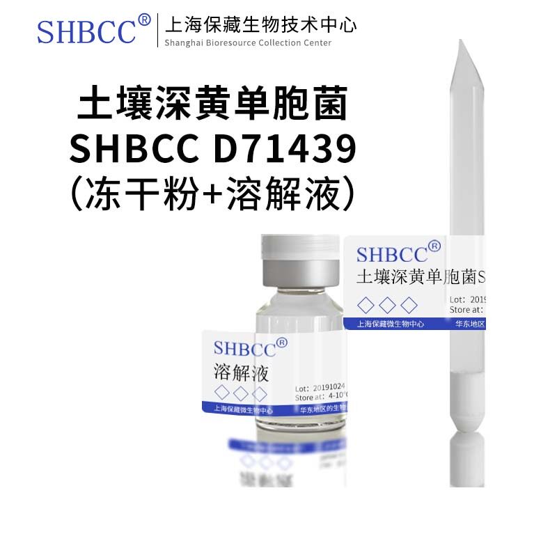 土壤深黄单胞菌shbcc d71439非模式菌株营养肉汁琼脂 冻干物
