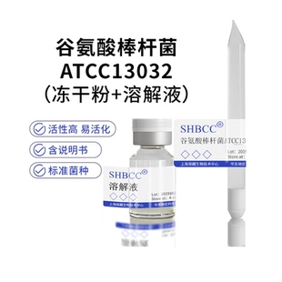 谷氨酸棒杆菌ATCC13032模式菌株营养肉汁琼脂培养基30℃培养活化