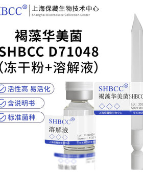 褐藻华美菌CIIP 107684模式菌株海水2216琼脂28℃培养冷藏4-10℃