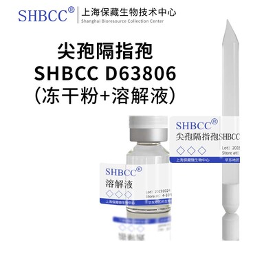 shmcc尖孢隔指孢PDA培养基斜面