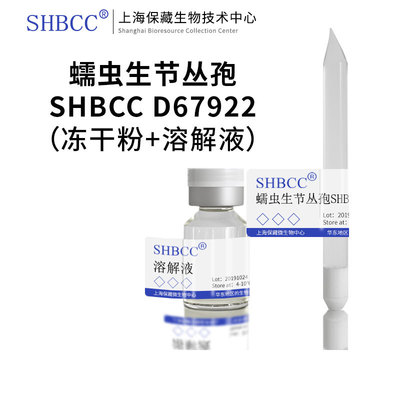 蠕虫生节丛孢PDA培养基斜面培养