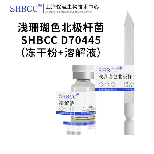 浅珊瑚色北极杆菌0950细菌蛋白胨