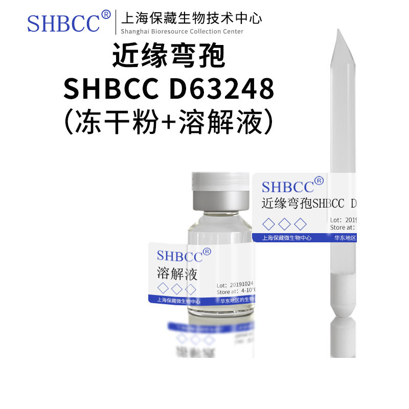 近缘弯孢PDA培养基SHMCC斜面培养