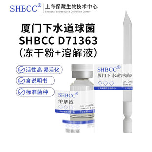 MCCC 非模式 厦门下水道球菌 1A06316 50℃培养 菌株 海水2216琼脂