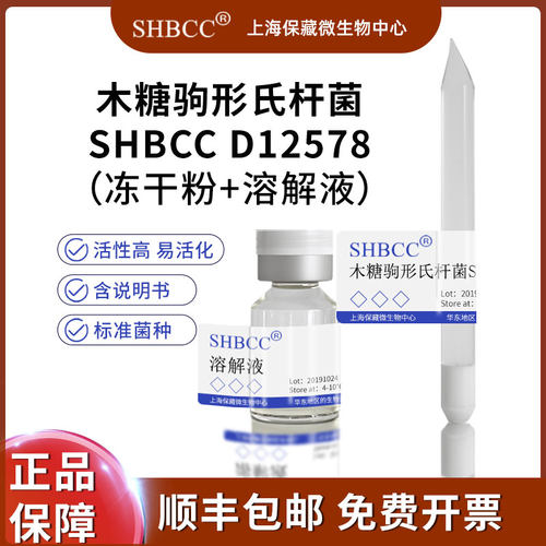SHBCC木糖驹形氏杆菌冻干粉
