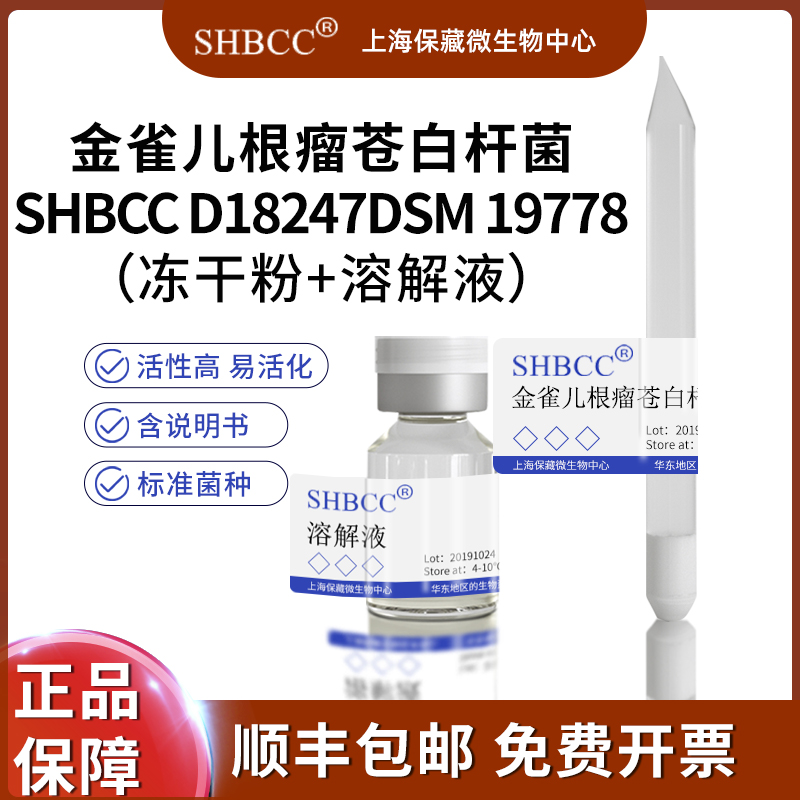 金雀儿根瘤苍白杆菌SHBCC D18247DSM 19778=CECT 7172=CIP 109590