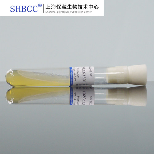 纳豆芽孢杆菌CICC20639试管菌