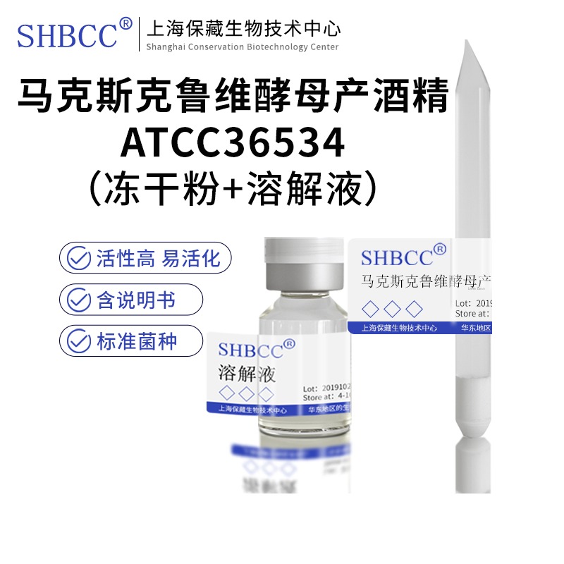 马克斯克鲁维酵母ATCC36534SHBCC