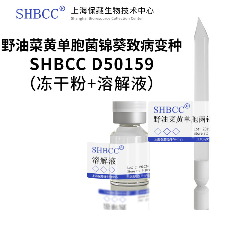 野油菜黄单胞菌锦葵致病变种shbcc d50159非模式菌株营养肉汁琼脂