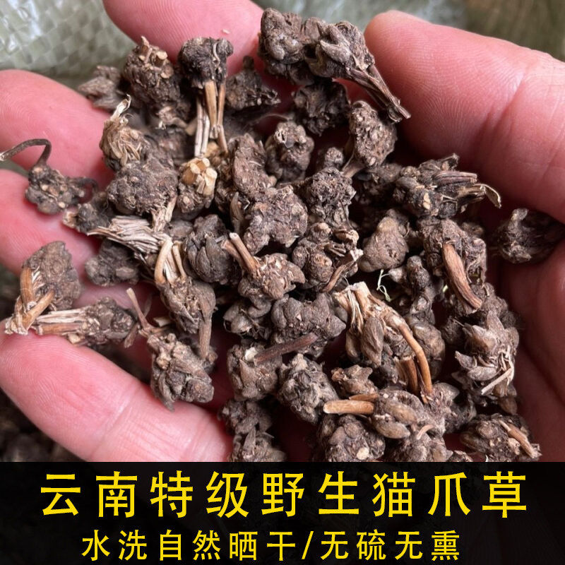 野生猫爪草中药材500g干货特级蒲公英夏枯草三散草泡水洗猫爪草茶